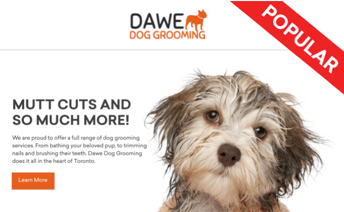 Click for a demo of web 10.0 Dog grooming website